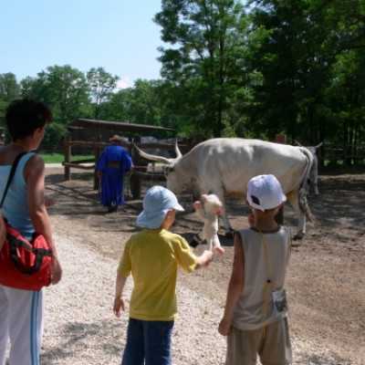 Családok kirándulása a Lázár Lovasparkba - adó, 1%, alapítvány, támogatás