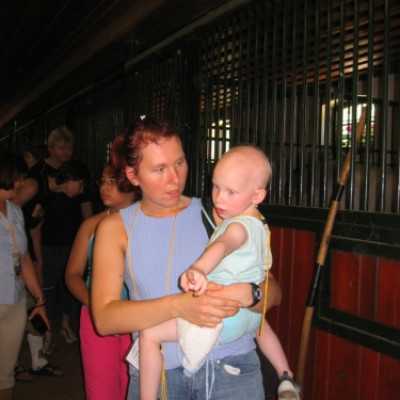 Családok kirándulása a Lázár Lovasparkba - adó, 1%, alapítvány, támogatás