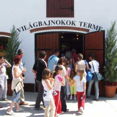 Családok kirándulása a Lázár Lovasparkba - adó, 1%, alapítvány, támogatás