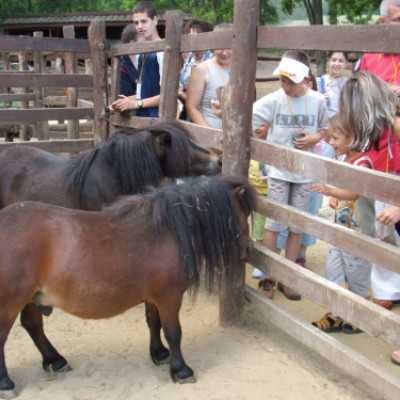Családok kirándulása a Lázár Lovasparkba - adó, 1%, alapítvány, támogatás