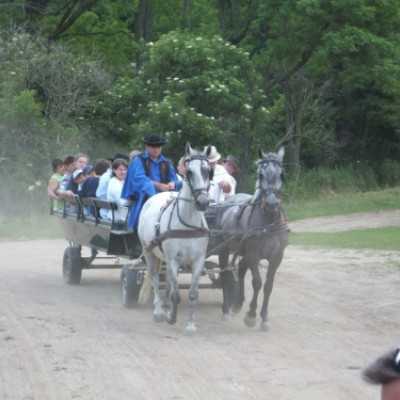 Családok kirándulása a Lázár Lovasparkba - adó, 1%, alapítvány, támogatás