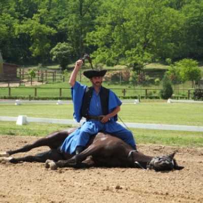 Családok kirándulása a Lázár Lovasparkba - adó, 1%, alapítvány, támogatás