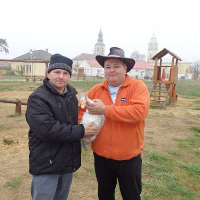 Csoki gyűjtés a kállósemjéni börzén - alapítvány, adó 1%, támogatás