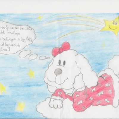 Csoki gyűjtés a Vegyipari Szakközépiskolában - adó, 1%, alapítvány, támogatás