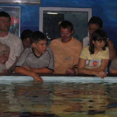 Debrecenben kezelt gyermekek kirándulása a Tropicariumban - adó, 1%, alapítvány, támogatás