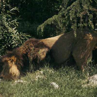 Csodálatos napot tölthettünk együtt a Nagyerdei Kultúrparkban - alapítvány, adó 1%, támogatás