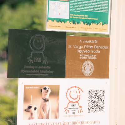 Csodálatos napot tölthettünk együtt a Nagyerdei Kultúrparkban - alapítvány, adó 1%, támogatás