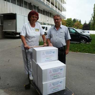 Egyedülálló segítség - alapítvány, adó 1%, támogatás