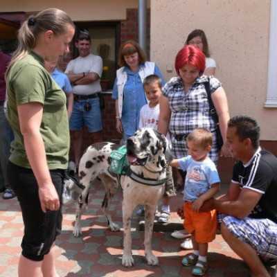 Gyermeknap a Remény Kuckóban - adó, 1%, alapítvány, támogatás