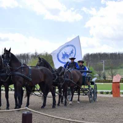 Húsvéti kirándulás a kis betegekkel - alapítvány, adó 1%, támogatás