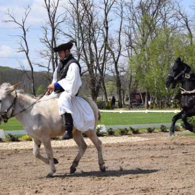 Húsvéti kirándulás a kis betegekkel - alapítvány, adó 1%, támogatás