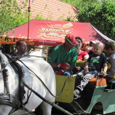 Húsz éve segít a Remény a Leukémiás Gyermekekért Alapítvány - adó, 1%, alapítvány, támogatás