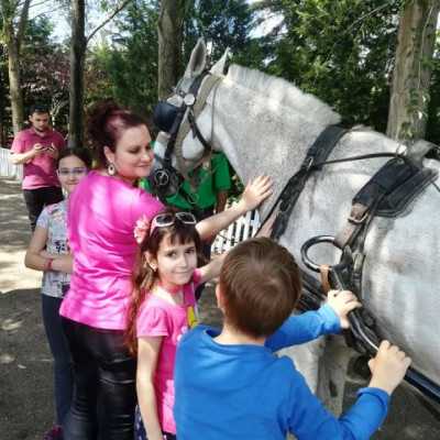 Húsz éve segít a Remény a Leukémiás Gyermekekért Alapítvány - adó, 1%, alapítvány, támogatás