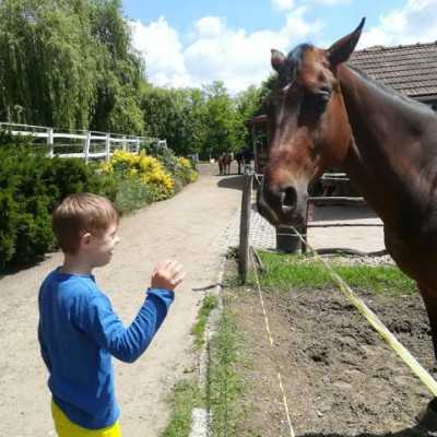 Húsz éve segít a Remény a Leukémiás Gyermekekért Alapítvány - adó, 1%, alapítvány, támogatás