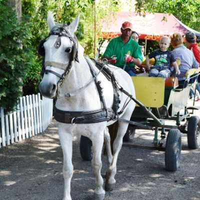 Húsz éve segít a Remény a Leukémiás Gyermekekért Alapítvány - adó, 1%, alapítvány, támogatás