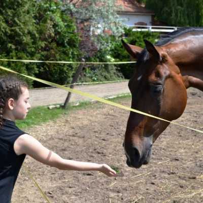 Húsz éve segít a Remény a Leukémiás Gyermekekért Alapítvány - adó, 1%, alapítvány, támogatás