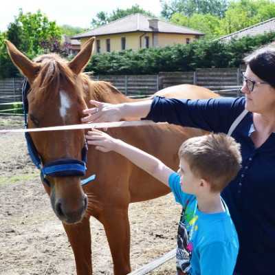 Húsz éve segít a Remény a Leukémiás Gyermekekért Alapítvány - adó, 1%, alapítvány, támogatás