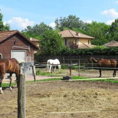 Húsz éve segít a Remény a Leukémiás Gyermekekért Alapítvány - adó, 1%, alapítvány, támogatás