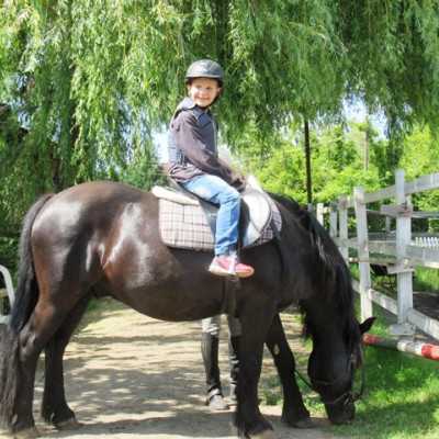 Húsz éve segít a Remény a Leukémiás Gyermekekért Alapítvány - adó, 1%, alapítvány, támogatás