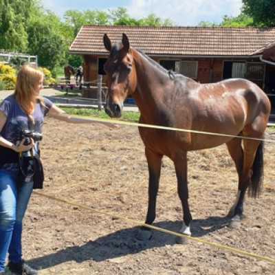 Húsz éve segít a Remény a Leukémiás Gyermekekért Alapítvány - adó, 1%, alapítvány, támogatás
