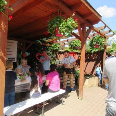 Húsz éve segít a Remény a Leukémiás Gyermekekért Alapítvány - adó, 1%, alapítvány, támogatás