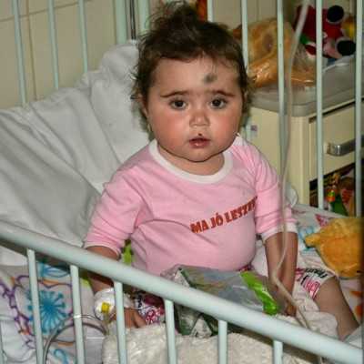 Kedves hűtő mágnes csacsik, és Hajdú Coopnál vásárolt fagyifinomságok a melegben - alapítvány, adó 1%, támogatás