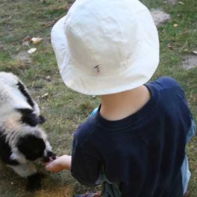 kirándulás a Nagyerdei Kultúrparkban - adó, 1%, alapítvány, támogatás