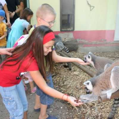 kirándulás a Nagyerdei Kultúrparkban - adó, 1%, alapítvány, támogatás