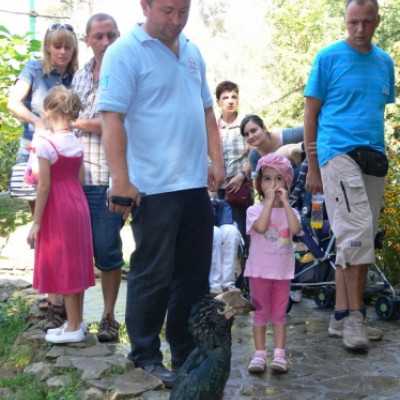 kirándulás a Nagyerdei Kultúrparkban - adó, 1%, alapítvány, támogatás