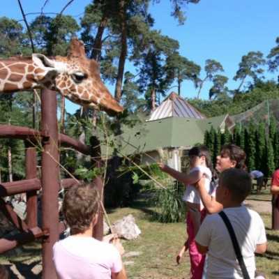 kirándulás a Nagyerdei Kultúrparkban - adó, 1%, alapítvány, támogatás