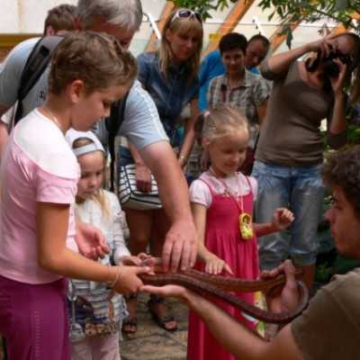 kirándulás a Nagyerdei Kultúrparkban - adó, 1%, alapítvány, támogatás