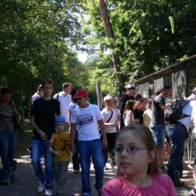 kirándulás a Nagyerdei Kultúrparkban - adó, 1%, alapítvány, támogatás