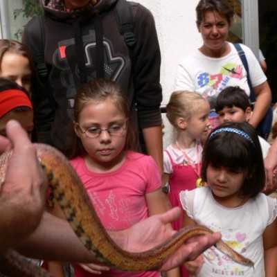 kirándulás a Nagyerdei Kultúrparkban - adó, 1%, alapítvány, támogatás