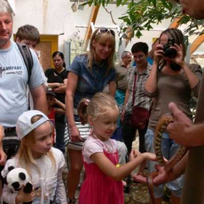 kirándulás a Nagyerdei Kultúrparkban - adó, 1%, alapítvány, támogatás