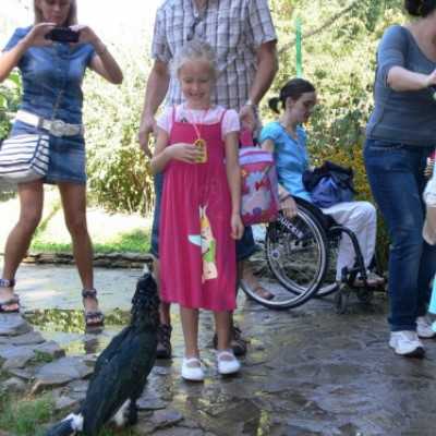 kirándulás a Nagyerdei Kultúrparkban - adó, 1%, alapítvány, támogatás