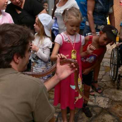 kirándulás a Nagyerdei Kultúrparkban - adó, 1%, alapítvány, támogatás