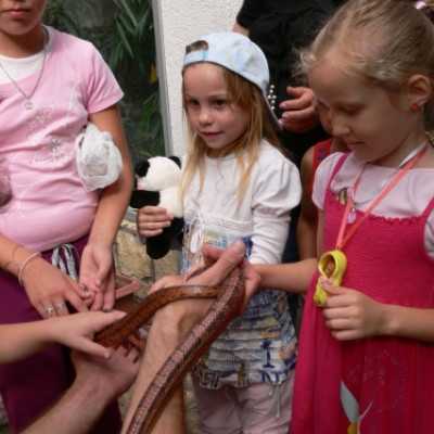 kirándulás a Nagyerdei Kultúrparkban - adó, 1%, alapítvány, támogatás