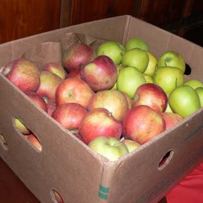 Kis Karácsony, Nagy Karácsony 2016 - adó, 1%, alapítvány, támogatás