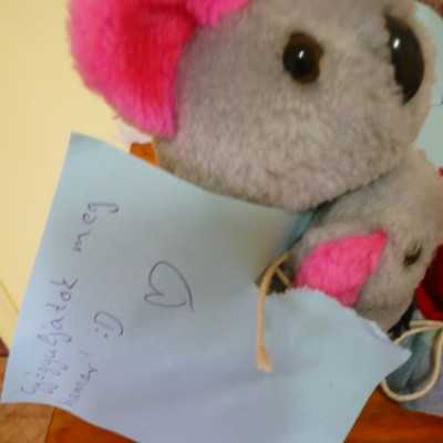 Komádi Városnap - adó, 1%, alapítvány, támogatás