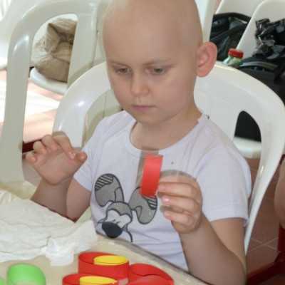 Köszönet a Hipp Kft.-nek! - adó, 1%, alapítvány, támogatás