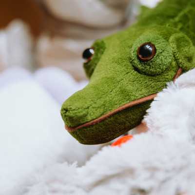 Plüssadomány érkezett a DEAC Kosárlabdacsapatától! - alapítvány, adó 1%, támogatás