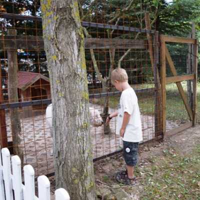 Remény családi nap Sasvári Sándornál - adó, 1%, alapítvány, támogatás