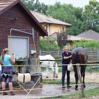 Remény családi nap Sasvári Sándornál - adó, 1%, alapítvány, támogatás