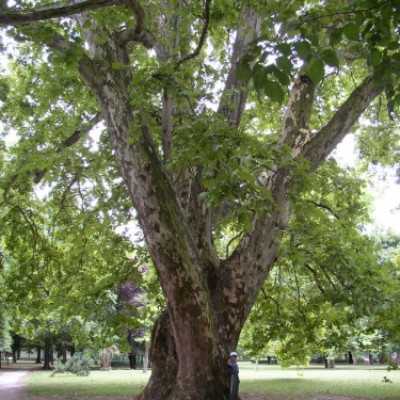 Remény Családi Tábor 4. nap - adó, 1%, alapítvány, támogatás