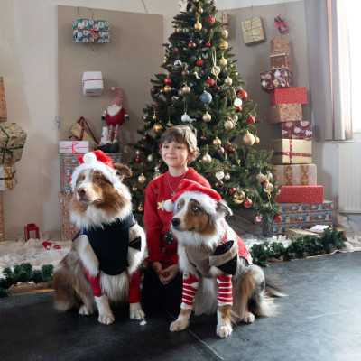 2025. December 6 - Mikulás ünnepség - adó, 1%, alapítvány, támogatás