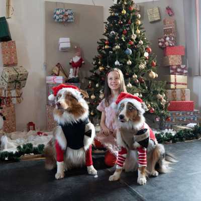 2025. December 6 - Mikulás ünnepség - adó, 1%, alapítvány, támogatás