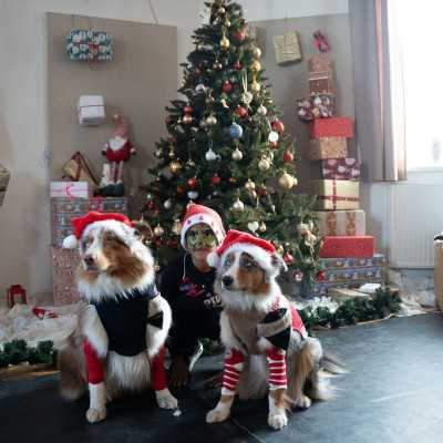 2025. December 6 - Mikulás ünnepség - adó, 1%, alapítvány, támogatás