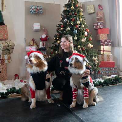 2025. December 6 - Mikulás ünnepség - adó, 1%, alapítvány, támogatás