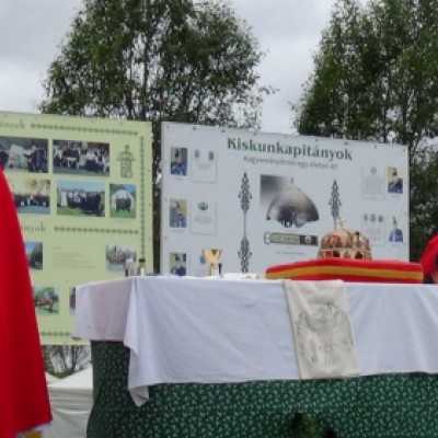 Részt vettünk a Nyeregszemlén - adó, 1%, alapítvány, támogatás