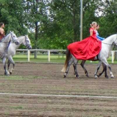 Részt vettünk a Nyeregszemlén - adó, 1%, alapítvány, támogatás